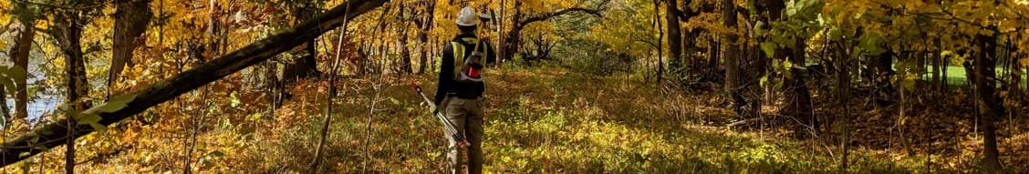 Lake Superior Consulting banner