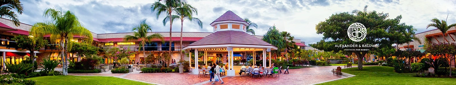 alexander & baldwin banner