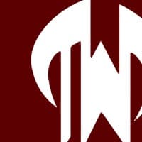 Tolunay-Wong Engineers, Inc. logo