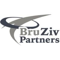 Bruziv Partners Llc logo