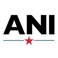 American National Insulation logo