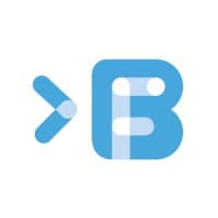 Big Fish Consult logo